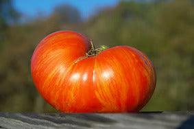 Tomato Soup! Our most requested recipe.