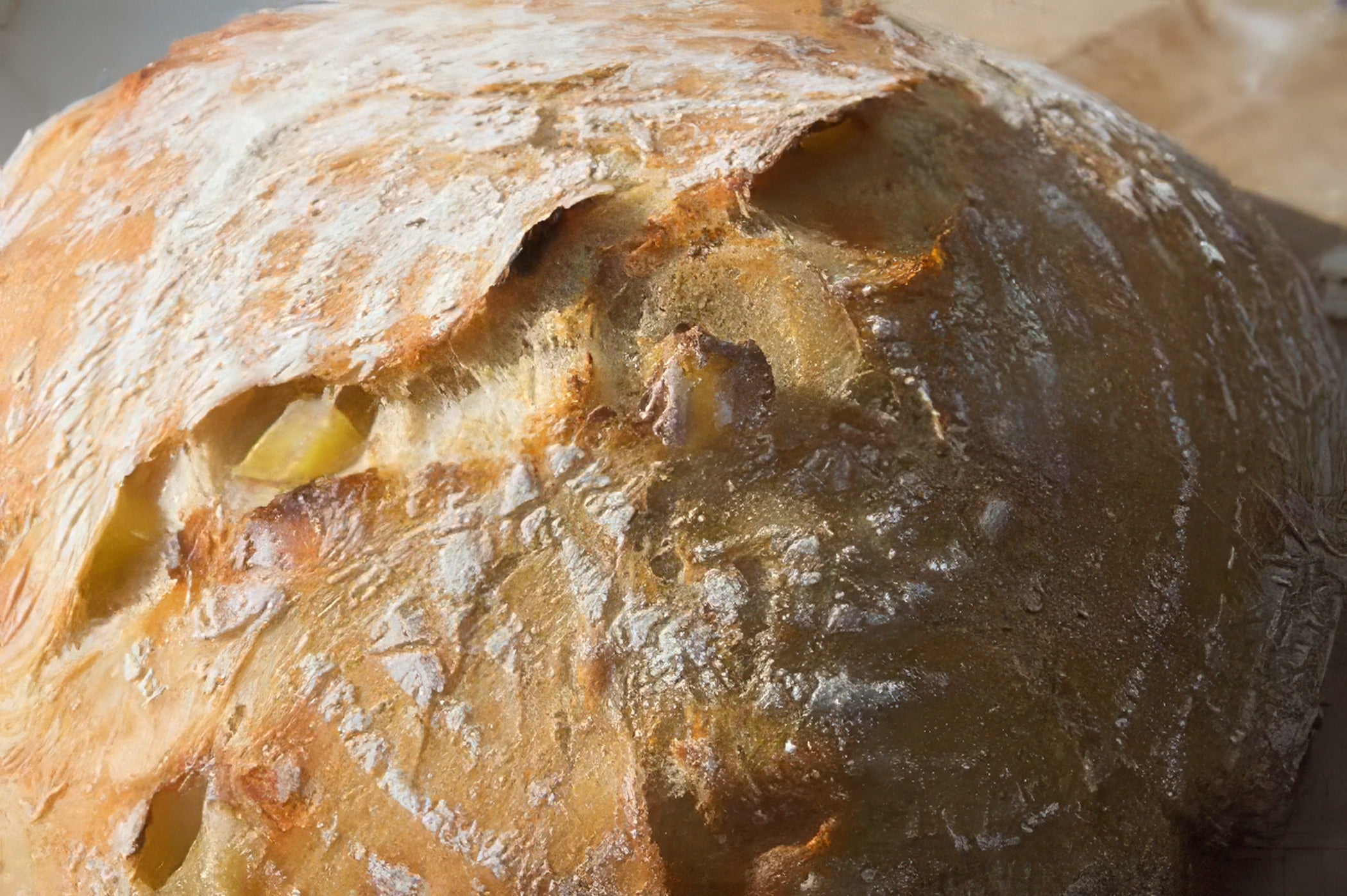 No Knead Apple Cheddar Bread