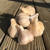 Garlic Olive Oil